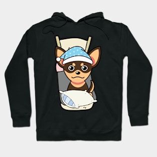 Cute small dog is going to bed Hoodie